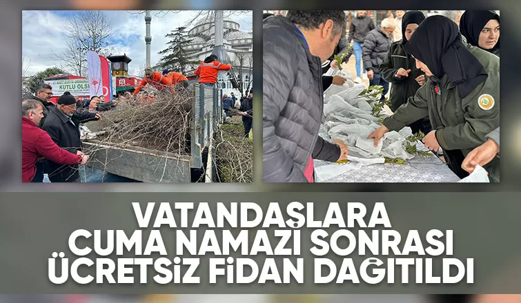 Akyazıda orman haftasında ücretsiz fidan dağıtıldı