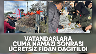 Akyazıda orman haftasında ücretsiz fidan dağıtıldı