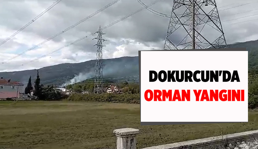 Akyazıda ormanlık alanda yangın