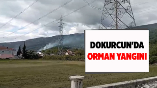 Akyazıda ormanlık alanda yangın