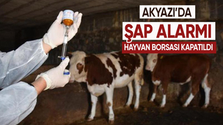 Akyazıda şap alarmı