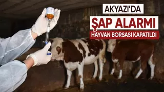 Akyazıda şap alarmı