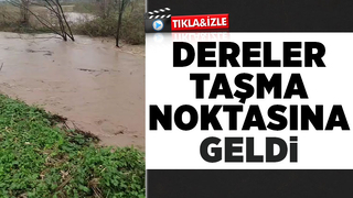 Akyazıda şiddetli yağış dereler taşma noktasına geldi
