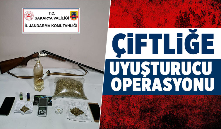 Akyazı’da uyuşturucu satılan çiftliğe baskın 