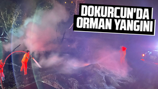 Akyazıdaki orman yangını büyümeden söndürüldü