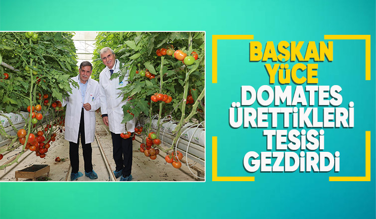 Akyazıdaki Seracılık Mükemmeliyetçilik Merkezini gezdiler