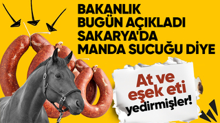 Sakarya'da manda sucuğundan at ve eşek eti çıktı