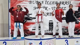 Akyazılı karatecilerden 6 madalya