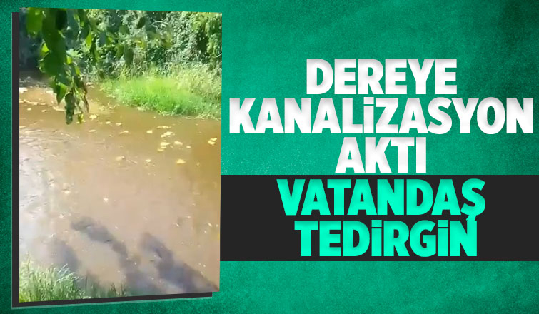 Alaağaç'ta dereye kanalizasyon aktı