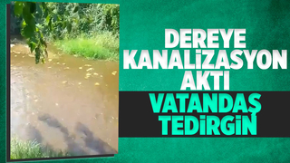 Alaağaç'ta dereye kanalizasyon aktı