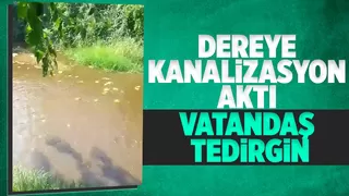 Alaağaç'ta dereye kanalizasyon aktı