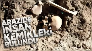 Alandüzü'nde arazide insan kemikleri bulundu