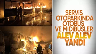 Alev alev yanan 15 araçtan geriye iskeletleri kaldı