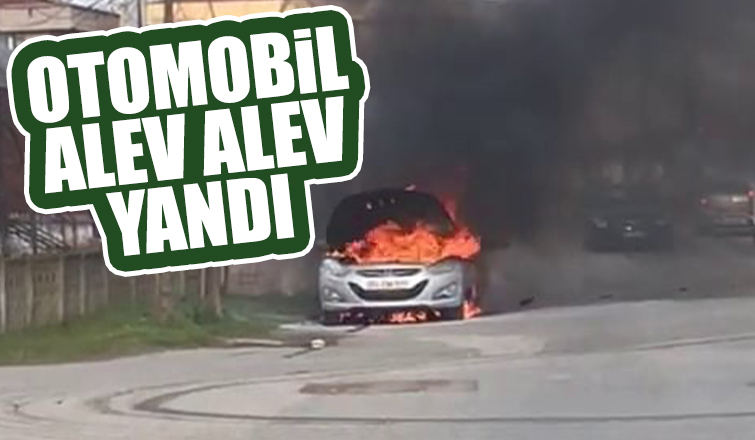 Alev alev yanan otomobil kullanılamaz hale geldi