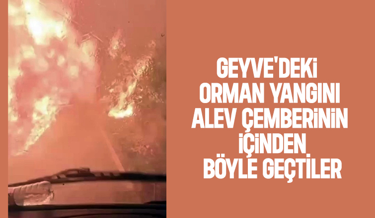 Alev çemberinin içinden geçtiler