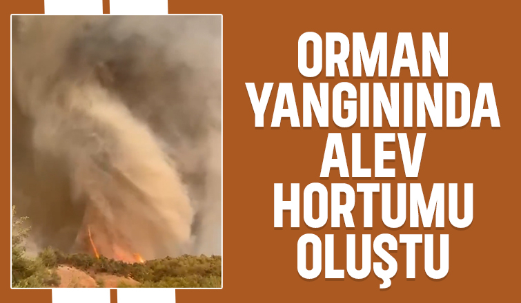 Alev hortumu böyle görüntülendi.