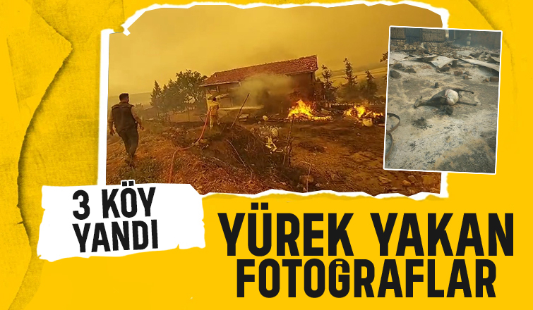 Alevler 3 köyü yuttu; Yürek yakan kareler