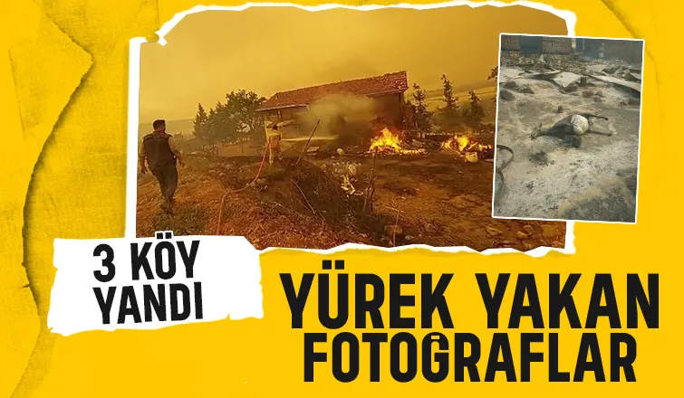 Alevler 3 köyü yuttu; Yürek yakan kareler
