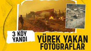 Alevler 3 köyü yuttu; Yürek yakan kareler