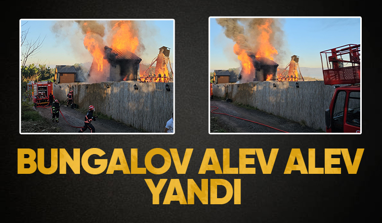Alevlere teslim olan bungalov kül oldu