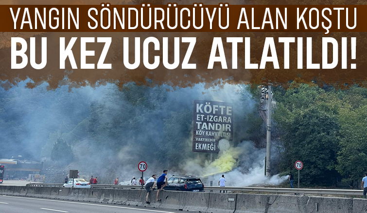 Alevleri ormana ulaşmadan söndürdüler