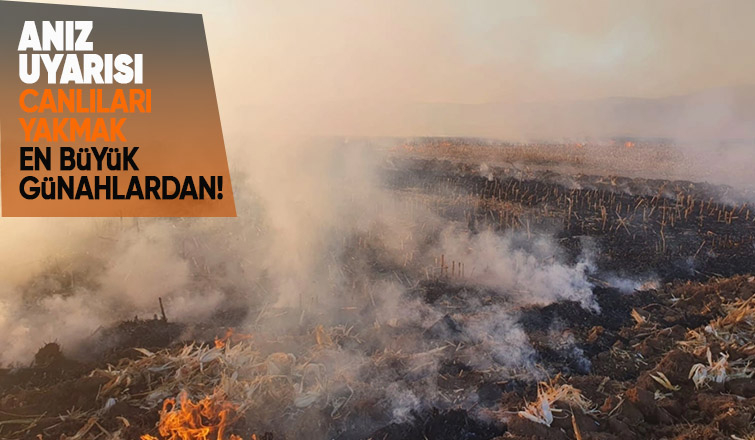 Ali Şener Bayraktar'dan anız uyarısı