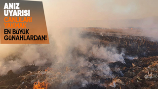 Ali Şener Bayraktar'dan anız uyarısı