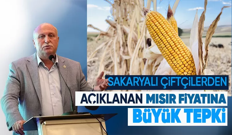 Ali Şener Bayraktar'tan mısır fiyatı tepkisi; Üretici ile dalga geçmektir
