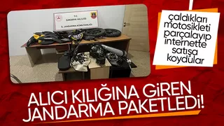 Alıcı kılığına giren jandarma hırsızları yakaladı