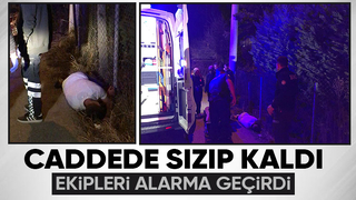 Alkol alıp yol kenarında sızıp kaldı