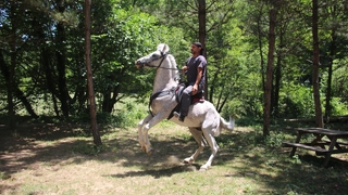 Allah denilince şaha kalkıyor