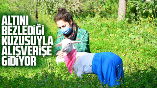 Altını bezlediği kuzusuyla alışverişe gidiyor