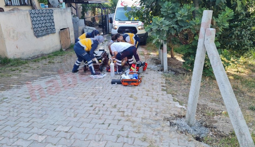 Amca yeğen kavgası cinayetle bitti