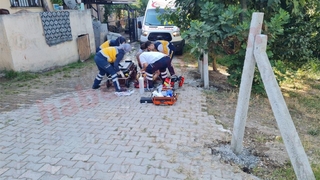 Amca yeğen kavgası cinayetle bitti