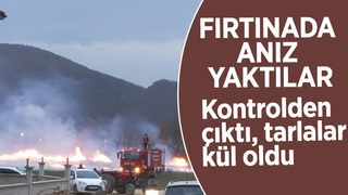 Anız ateşi kontrolden çıktı, tarlalar zarar gördü