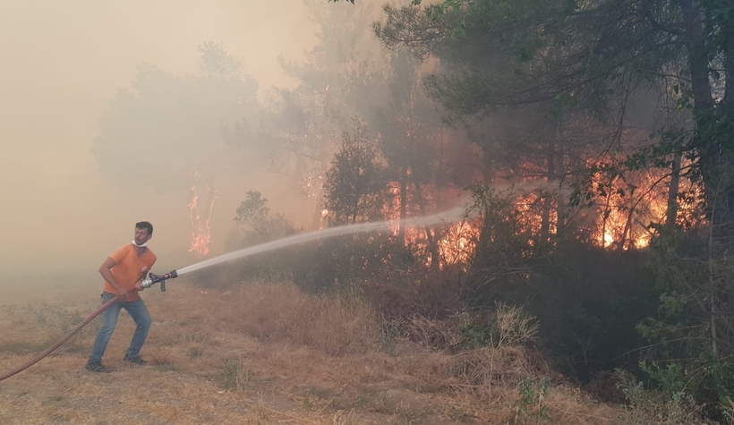 Anız ateşi ormanı yaktı