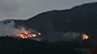 Anız yangını kontrolden çıktı