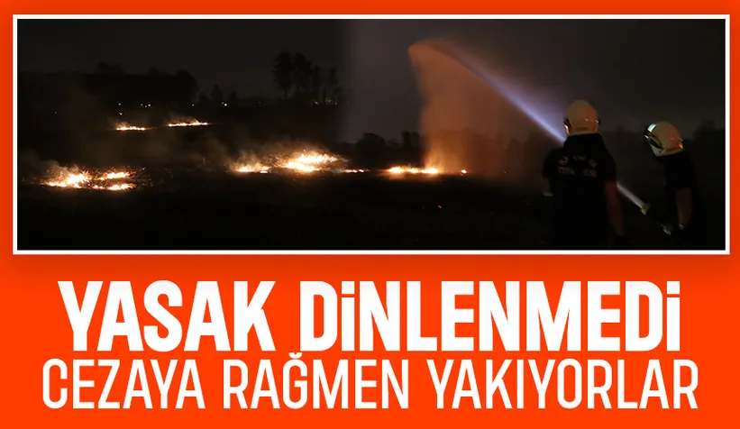 Anız yangınına itfaiye müdahale etti