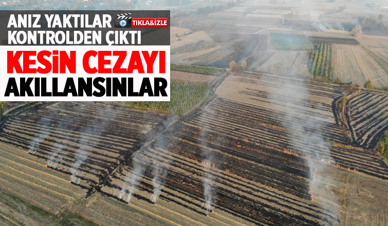 Anız yangınları ekipleri harekete geçirdi