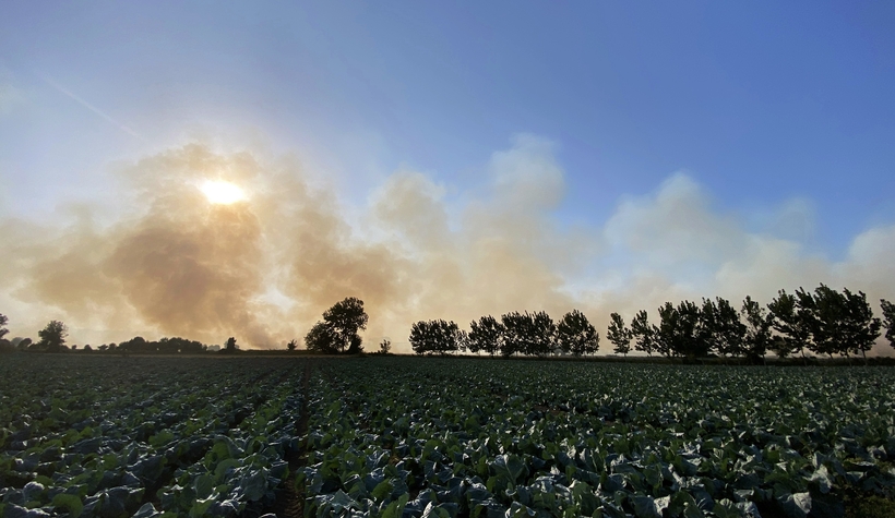 Anız yangınları şehri dumanla kapladı