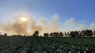 Anız yangınları şehri dumanla kapladı