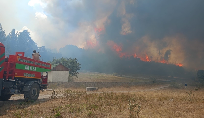 Ankara'da başlayan orman yangını Bolu'ya sıçradı