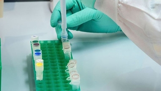 Anne sütünün koronayı öldürebileceği keşfedildi