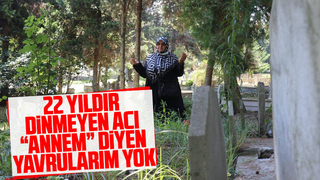 Annem diyen yavrularım yok