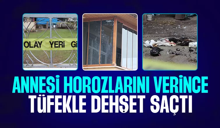 Annesinin horozlarını vermesine kızdı 7 tavuğu tüfekle öldürdü