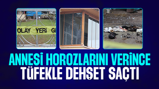 Annesinin horozlarını vermesine kızdı 7 tavuğu tüfekle öldürdü