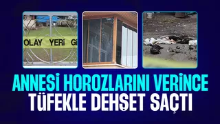 Annesinin horozlarını vermesine kızdı 7 tavuğu tüfekle öldürdü