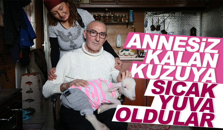 Annesiz kalan kuzuya sahip çıktılar