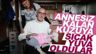 Annesiz kalan kuzuya sahip çıktılar