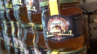 Anzer Balları, tahlil için yola çıktı